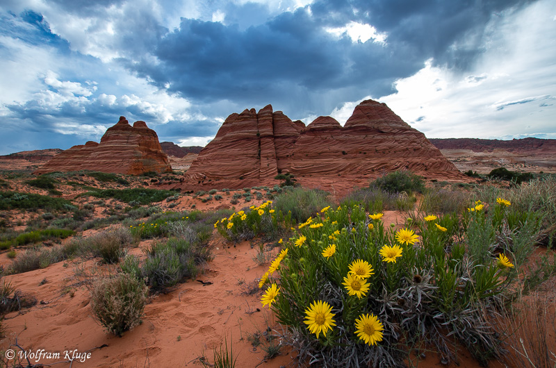 The South Teepees