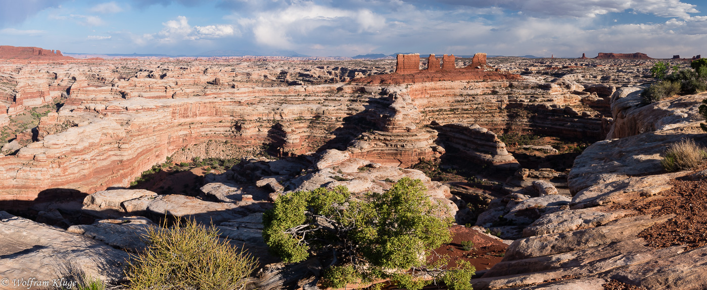 Maze Overlook