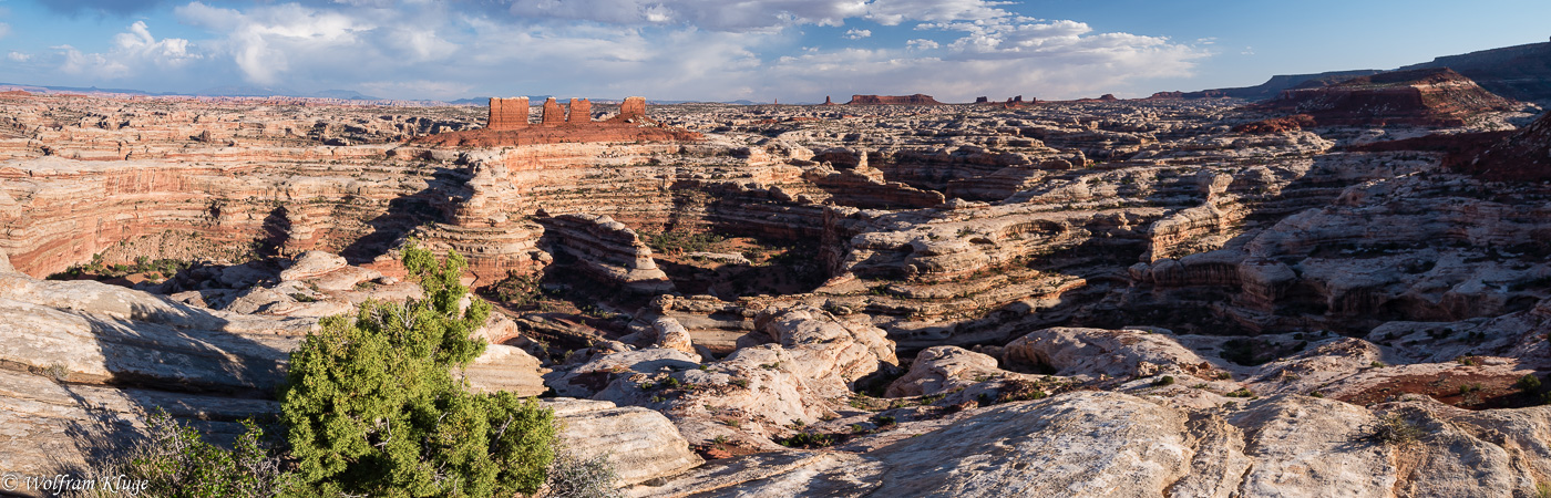 Maze Overlook