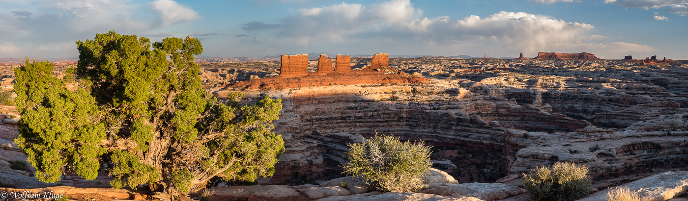 Maze Overlook