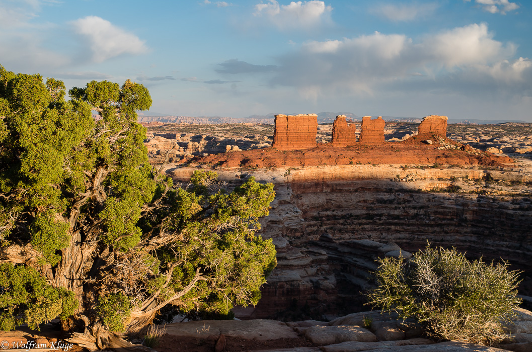 Maze Overlook